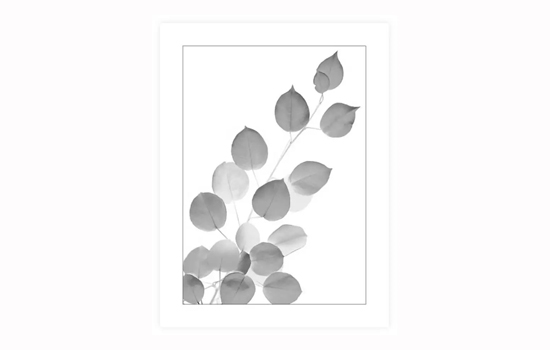 poster,tavla,heminredning,inreda,dekorera